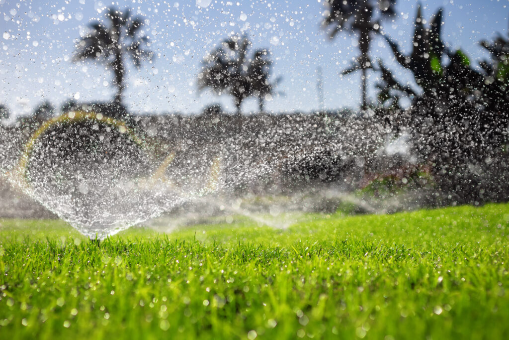 Sprinklers watering the green lawn. Automatic irrigation system.